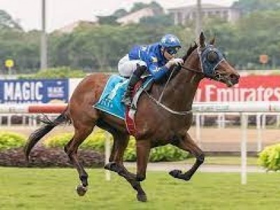 A first Gr.1 win would be a 'dream come true' for Meagher Image 1